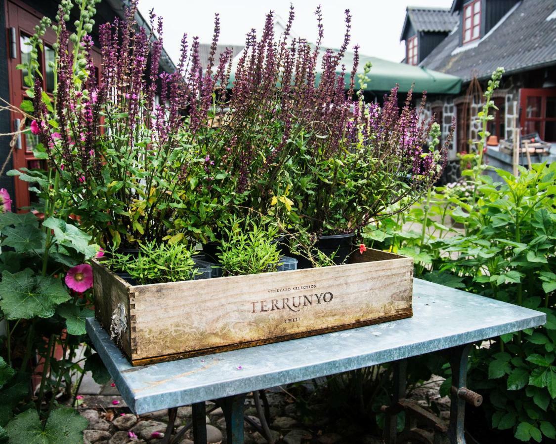 Grundfor Bed And Breakfast Bagian luar foto