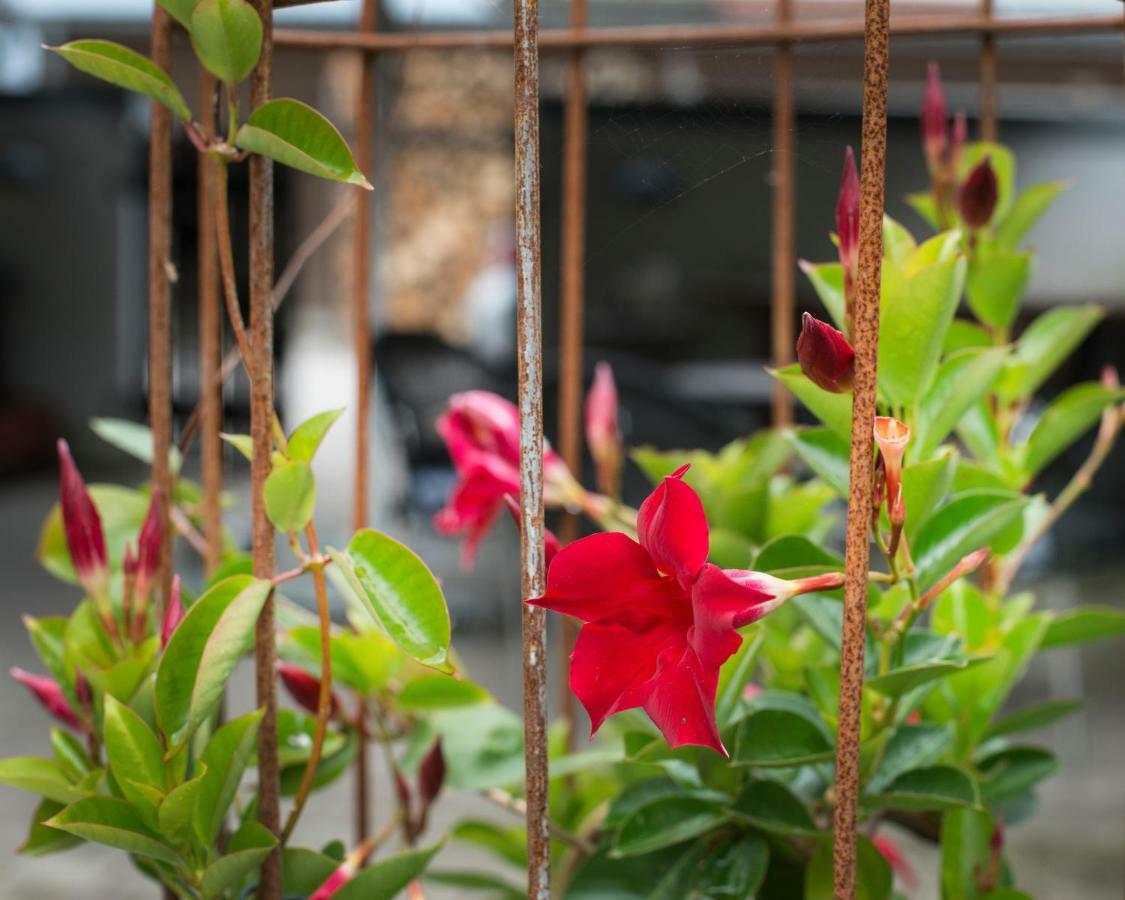 Grundfor Bed And Breakfast Bagian luar foto
